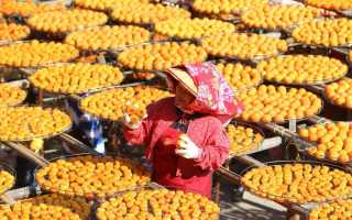 Слабительные продукты при запорах