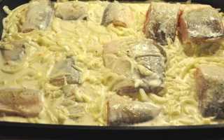 10 самых вкусных рецептов из филе судака в духовке
