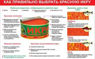Икра красная: состав, калории, польза и вред для здоровья